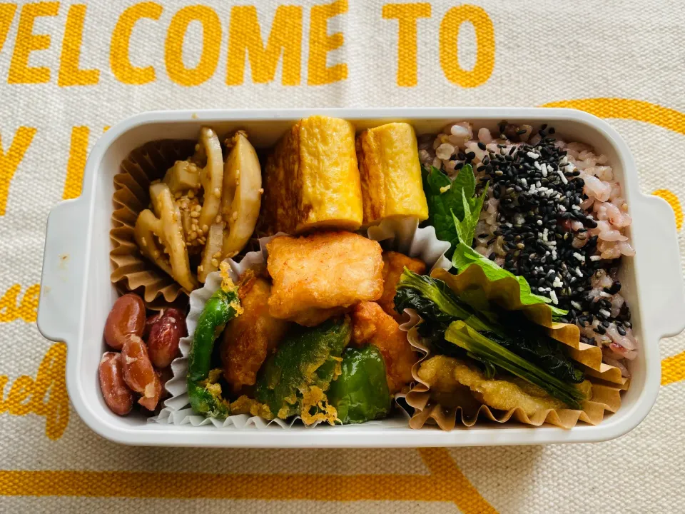 今日のお弁当|ケイトさん