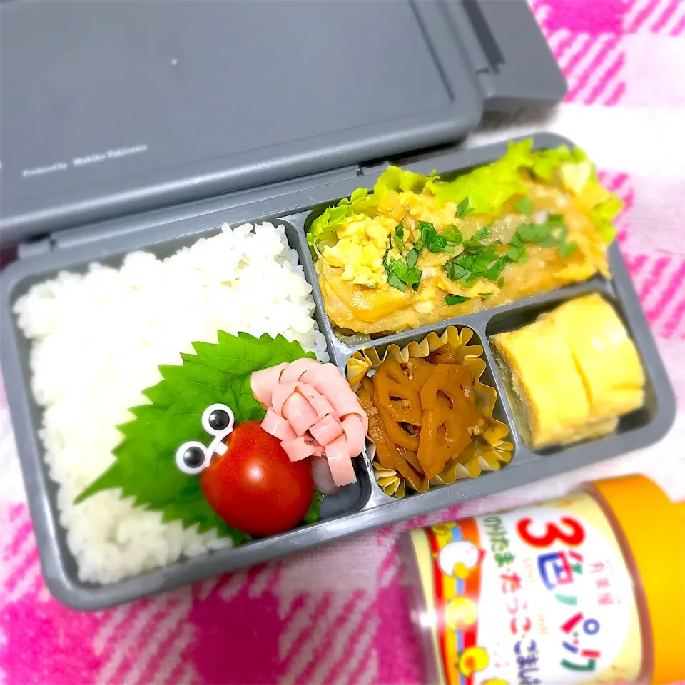 SJK弁当🍱〜イカ天玉子とじ・玉子焼き・蓮根きんぴら・花ハム|華恋さん