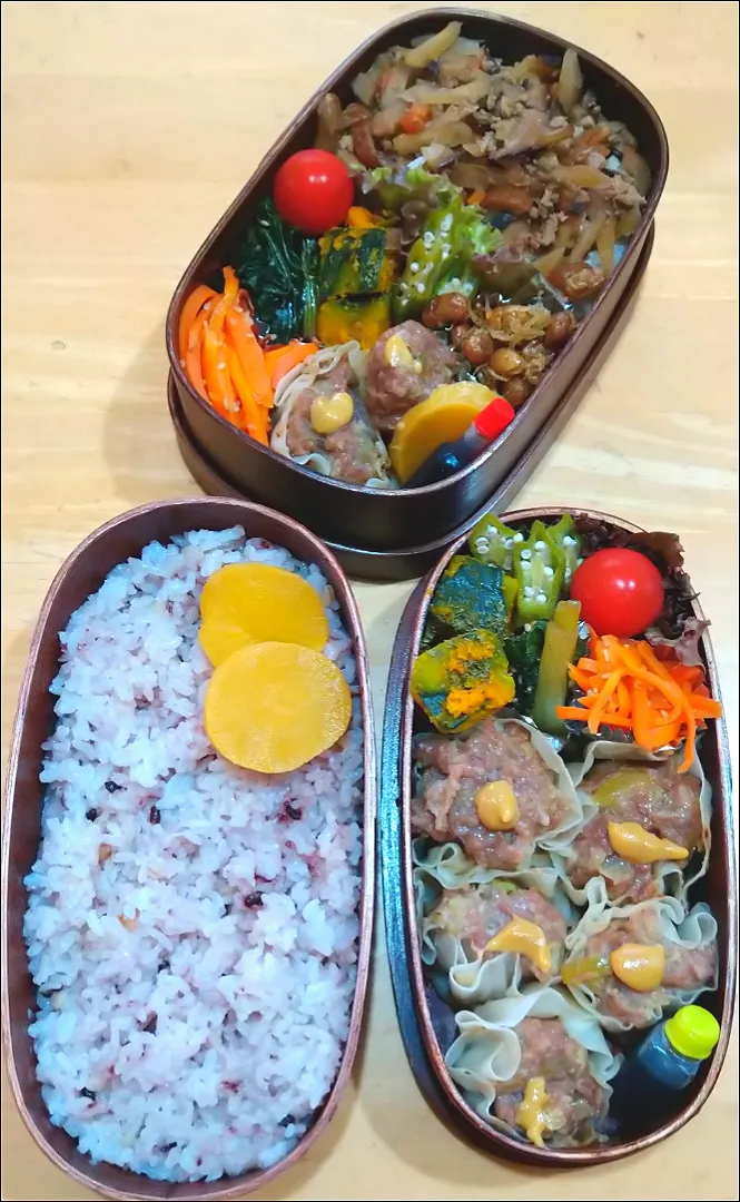 Snapdishの料理写真:しゅうまい弁当|NOZUさん