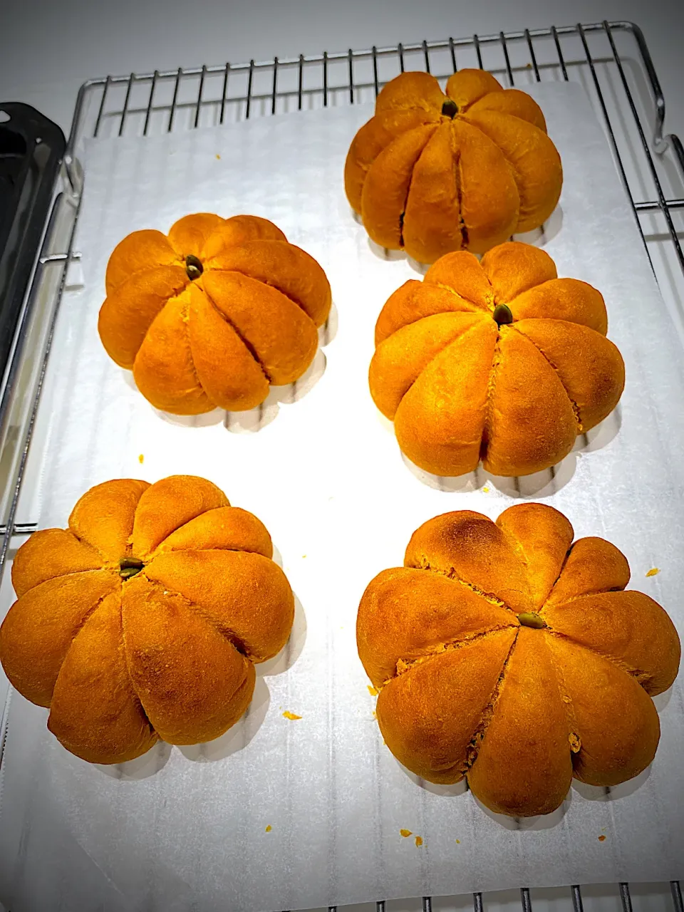 🎃パンプキンパン　カボチャ餡　ラムレーズン　クリームチーズ入り　カボチャの種🎃|ch＊K*∀o(^^*)♪さん