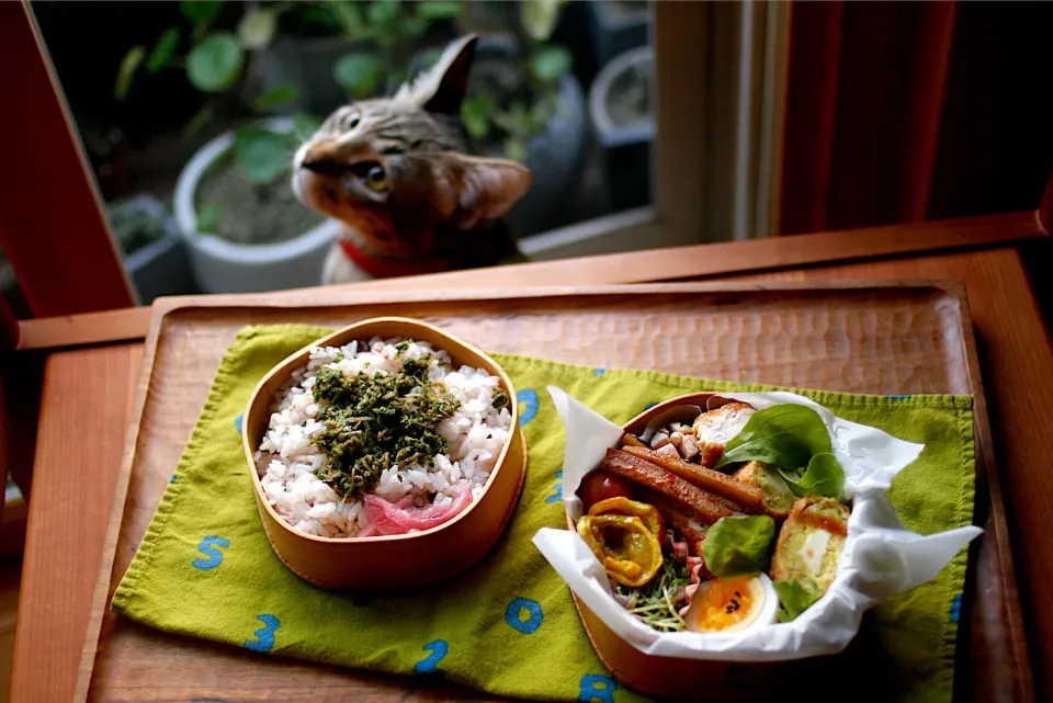 Snapdishの料理写真:息子弁当🍱|ponta7162さん