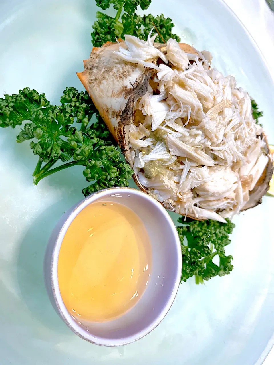 ドーマン🦀|🌼𝑨𝐦𝐢🌼さん