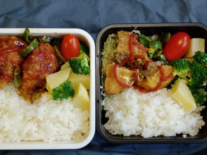 Snapdishの料理写真:作り置きメンチカツ弁当|ぱいんてーるさん