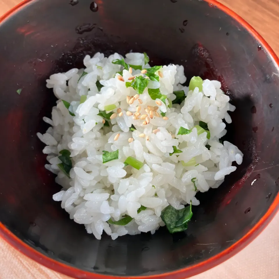 青菜飯|はるさん