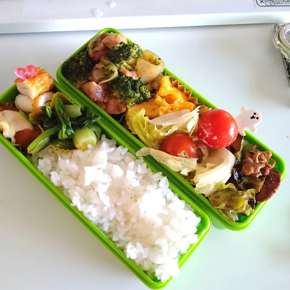 10/31鶏とブロッコリーの炒め弁当|Reikoさん