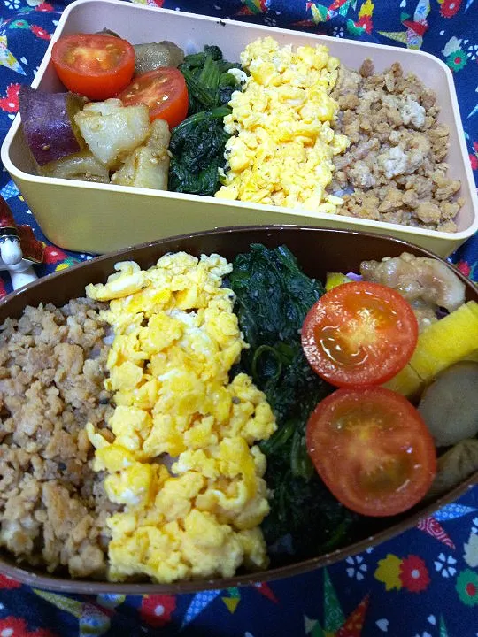 '22．11/1
本日のお弁当🍱|たえさん