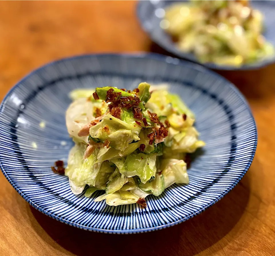 キャベツと白ネギ、きゅうり🥒の和風マヨサラダ☺︎|まめすけ。さん