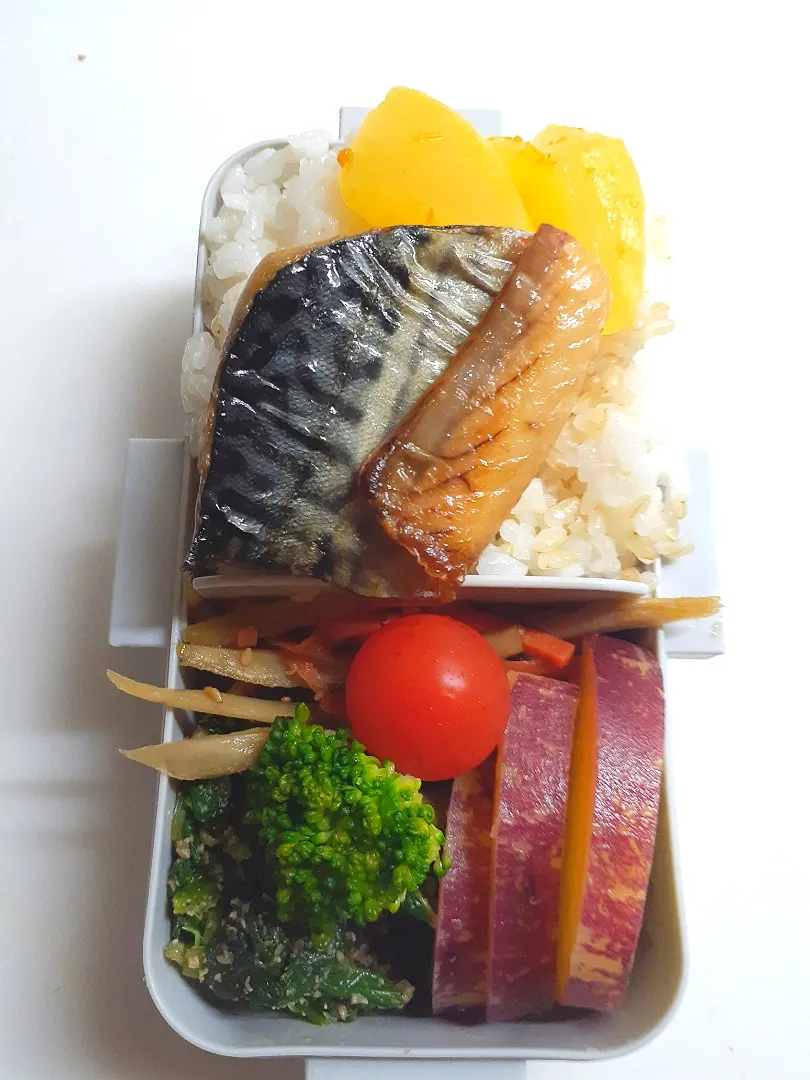 Snapdishの料理写真:☆中学生弁当☆玄米入りごはん、鯖塩焼き、沢庵、金平牛蒡、薩摩芋レモン煮、ほうれん草胡麻和え、ブロッコリー、ミニトマト|ｼｮｺﾗさん