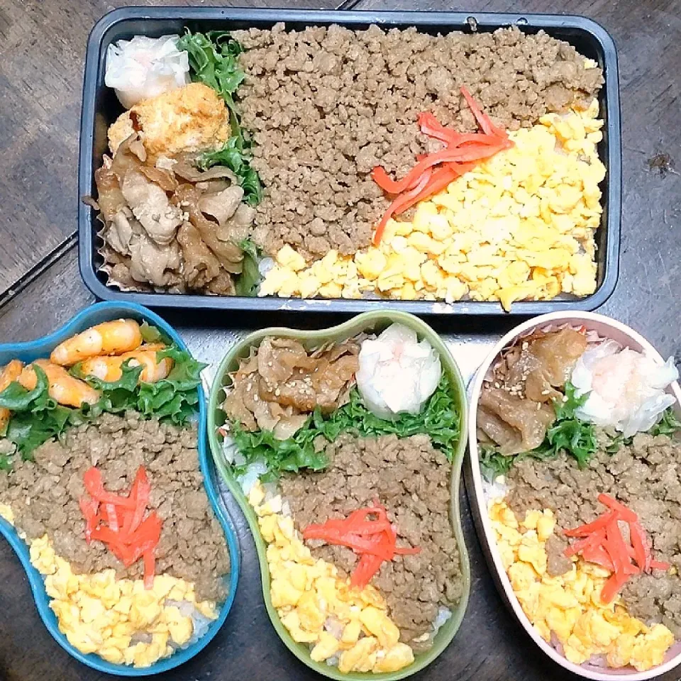 そぼろ弁当🍱|hiroeさん