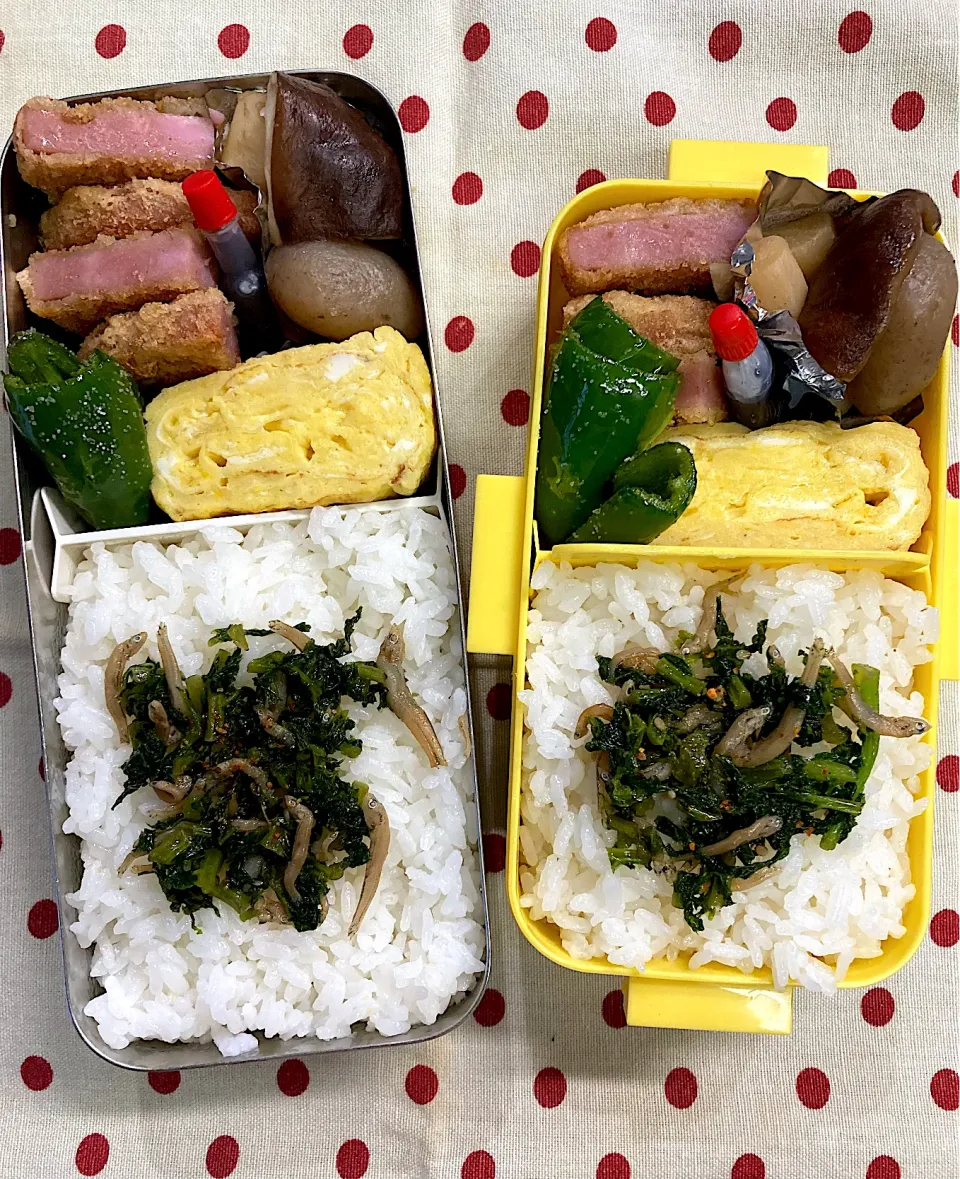 11月2日　週の中日弁当🍱|sakuramochiさん