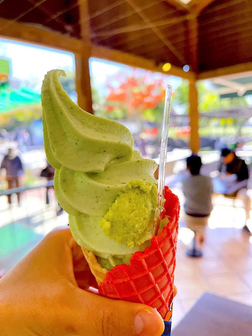 大王わさび農園🍦わさびソフト|かっぱちんさん