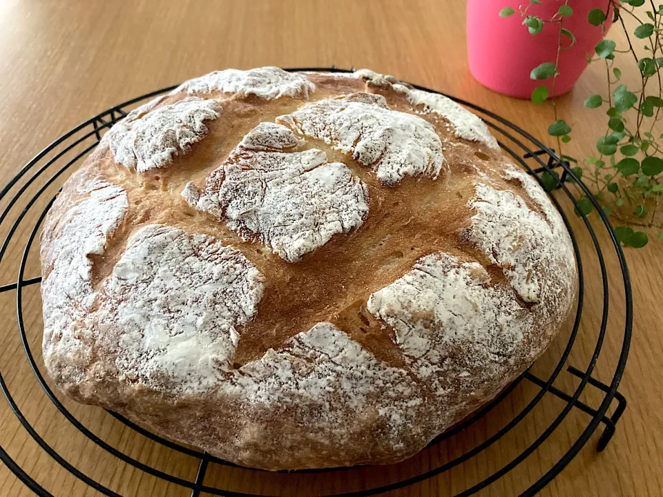 ＊カンパーニュ🥖＊|＊抹茶＊さん