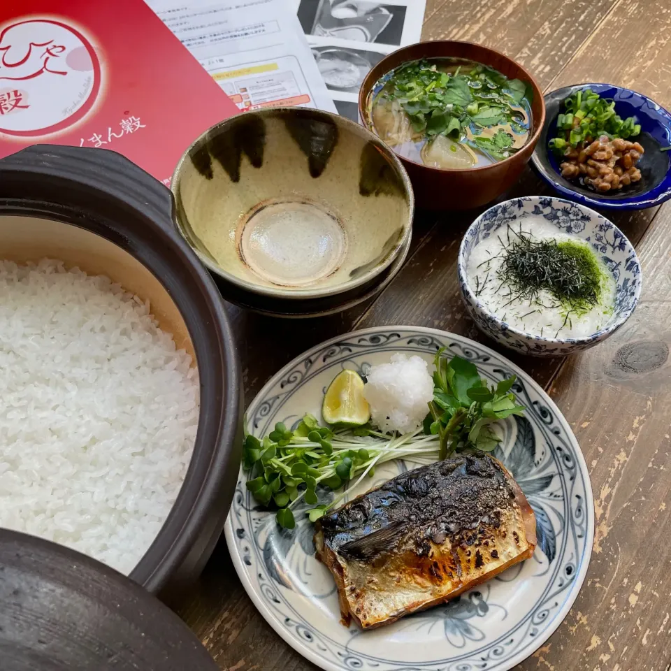 土鍋ごはんと鯖の塩焼きで和な朝定食|koji toyodaさん