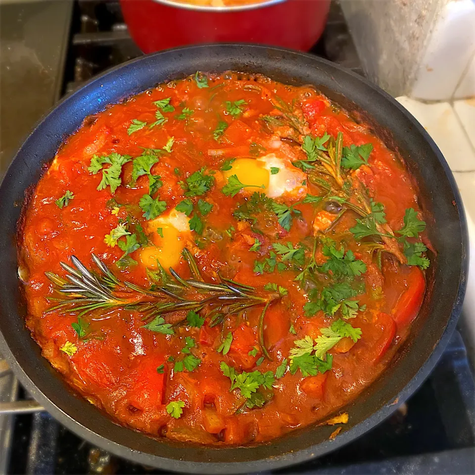 Shakshouka🥘🇮🇱|にゃんこさん