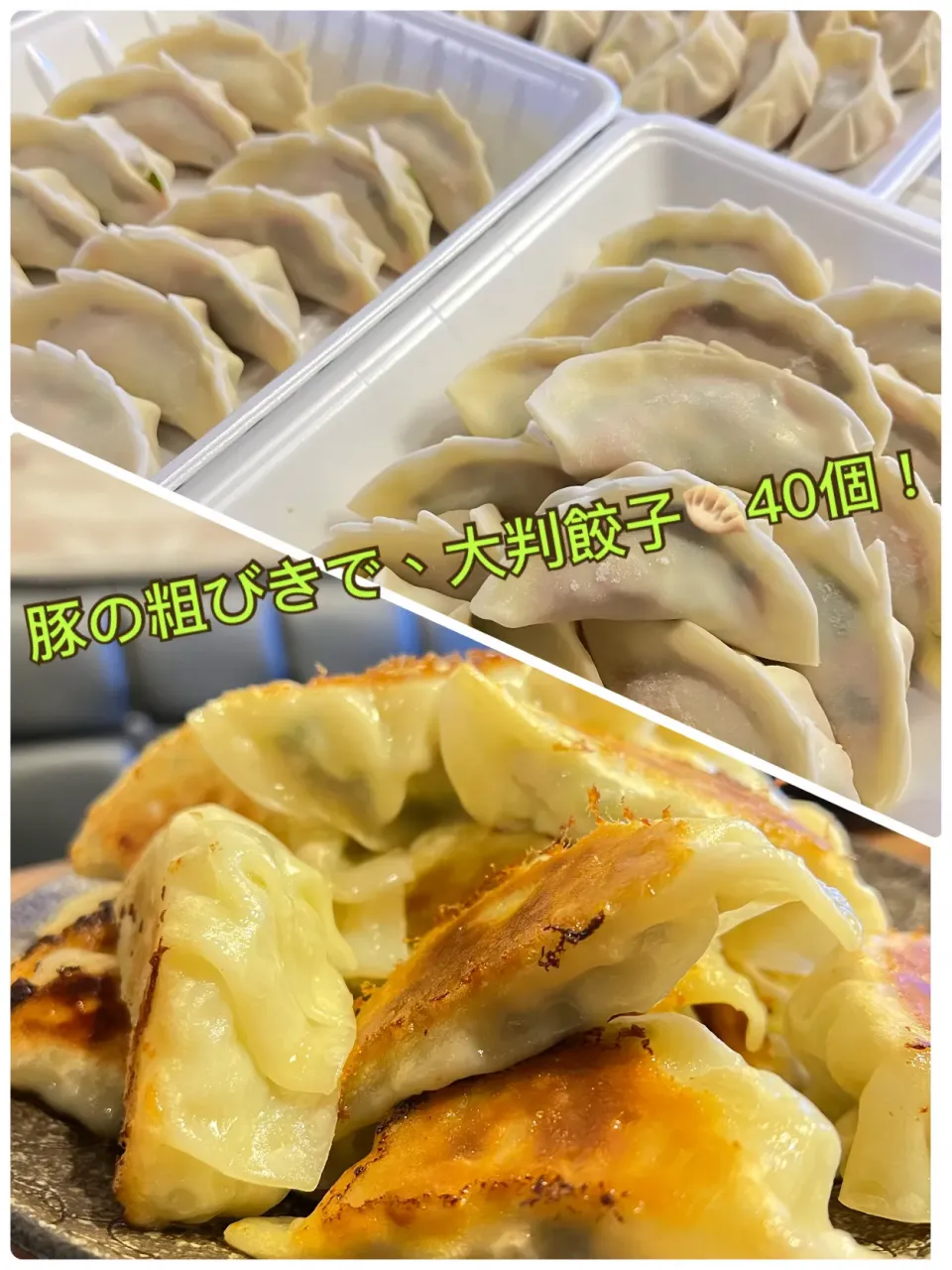 粗挽き豚のおっきい餃子🥟|ゆき茶❁⃘*.ﾟさん