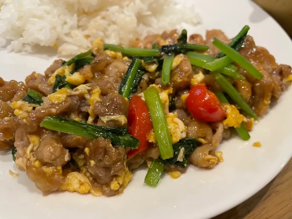 Snapdishの料理写真:今日の手抜き飯 オイスター炒め|おーたたくとさん