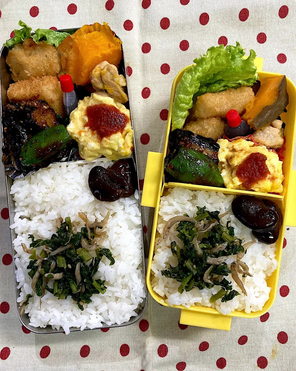 11月9日　今日も秋晴れ弁当🍱|sakuramochiさん