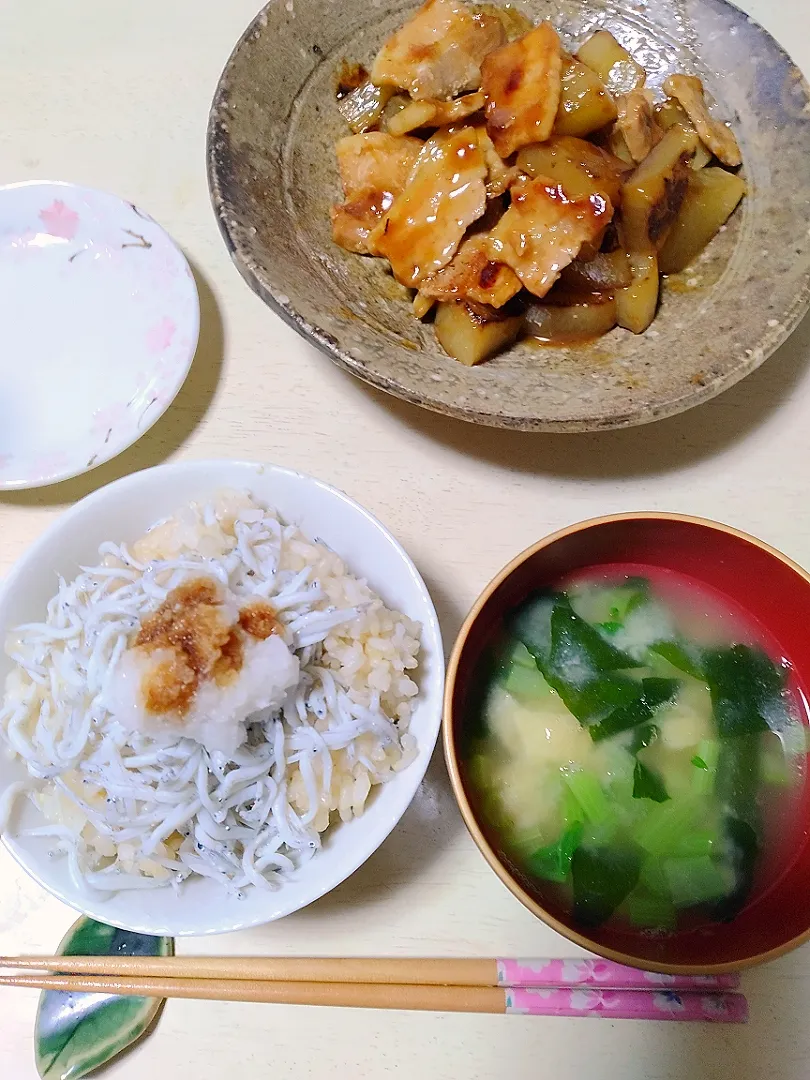 釜揚げしらす丼&豚バラと大根煮|yuika☆さん