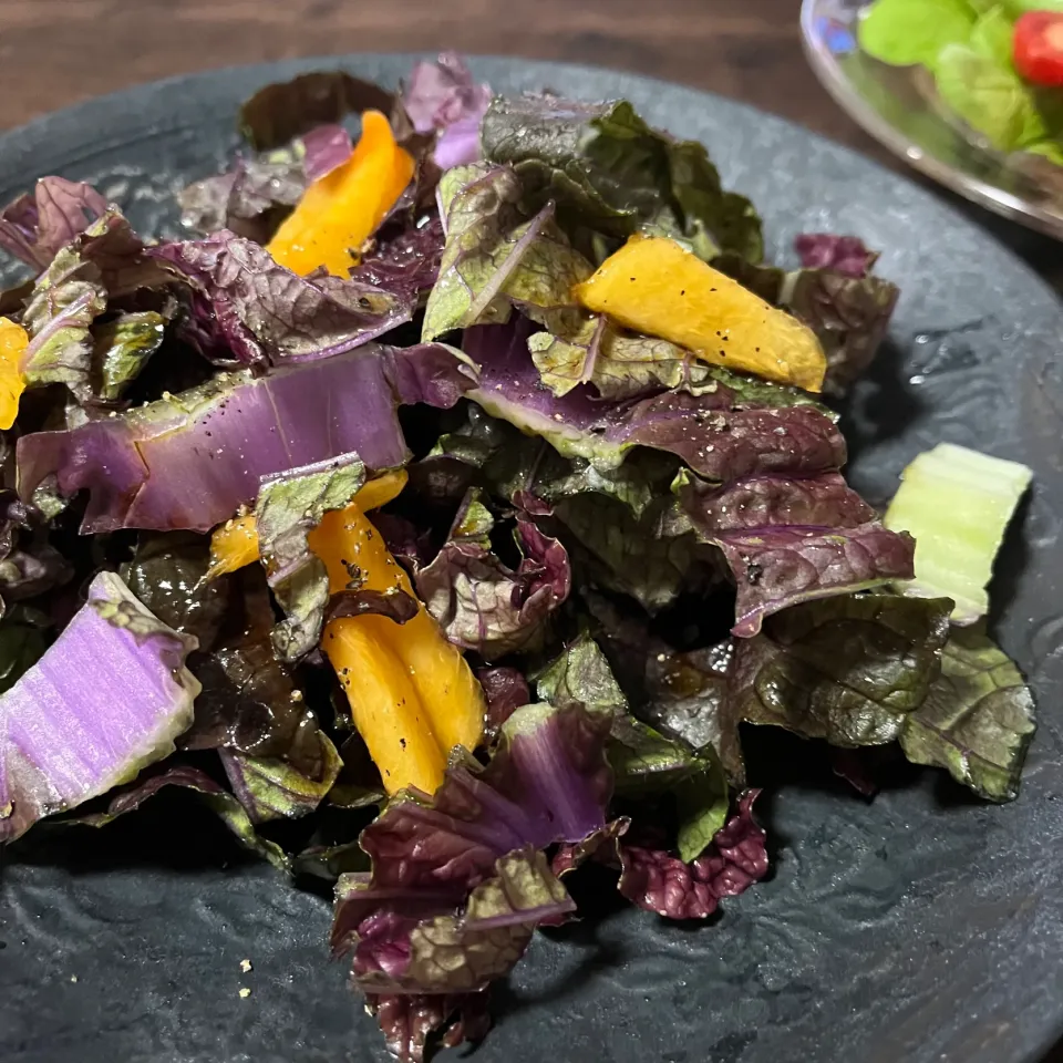 紫白菜と柿のサラダ　ポン酢で🥗|きょーこさん