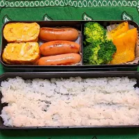 卵焼き弁当|みどりいろさん