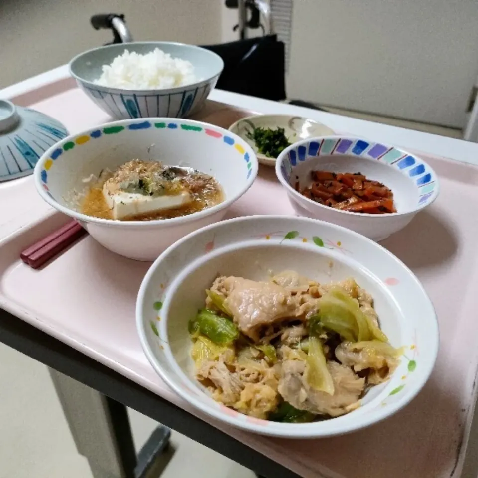 Snapdishの料理写真:キャベツと鶏肉の炒めもの
人参のきんぴら
梅とポン酢と大根おろしの湯豆腐
菜っ葉の漬物。

こんな素朴な料理は何年ぶりだろう？

＃病院食#父子家庭の晩ごはん＃シングルファーザー|ariyo4200さん