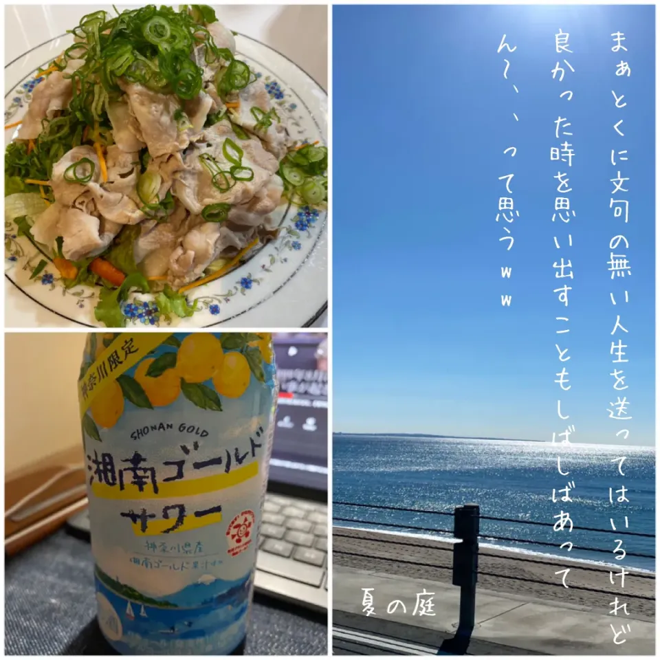 Snapdishの料理写真:野菜マシマシ冷しゃぶサラダ🥬|夏の庭さん