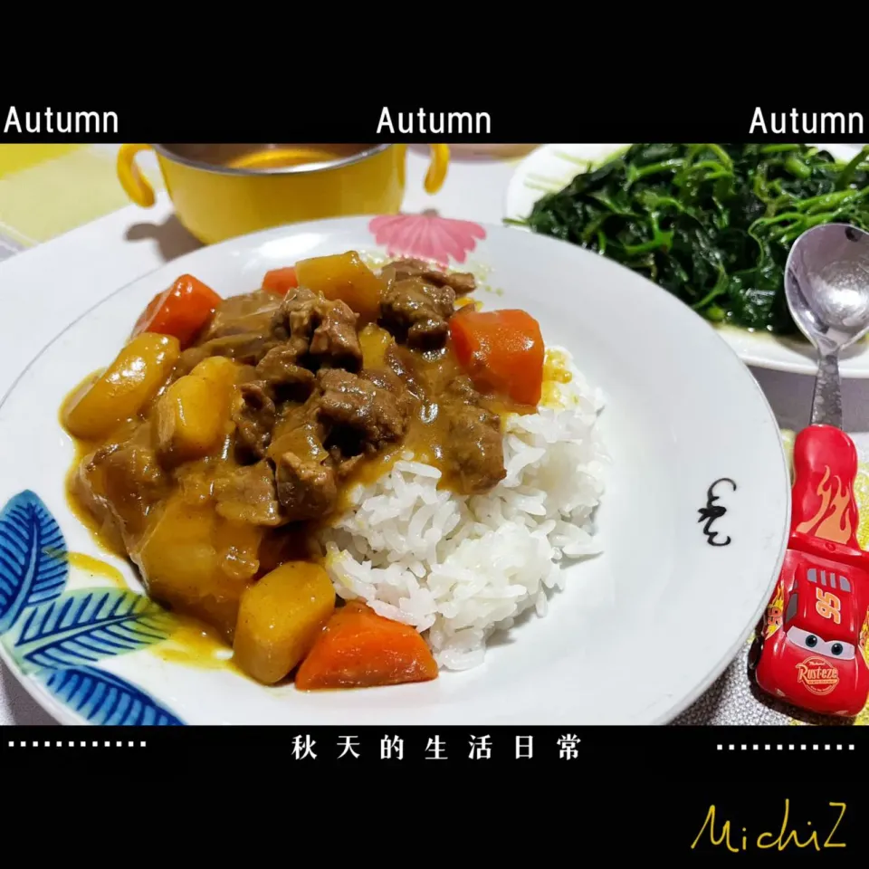 Curry beef with rice|michelleさん