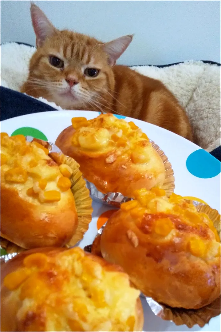 Snapdishの料理写真:コーンブレット🥖焼けました🙌
美味しい🧀🌽💕|さくらんぼさん