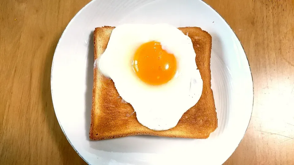 目玉焼きトースト|大夢さん