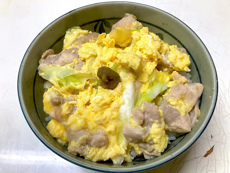 Snapdishの料理写真:塩ネギ親子丼|utayataさん