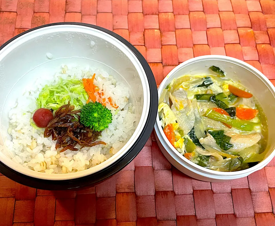 Snapdishの料理写真:中学生息子のお弁当🍱 豚肉と小松菜の卵とじ丼弁当🍱|Snow10さん