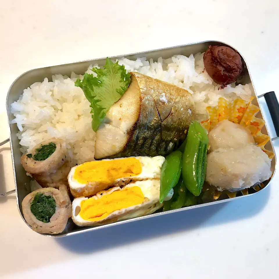 Snapdishの料理写真:サラ弁　　　　　　　　　　　　　　　　　　塩サバ　春菊の豚ロース巻き　目玉焼き　里芋煮っ転がし　スナップえんどうの胡麻和え|じゅんさんさん