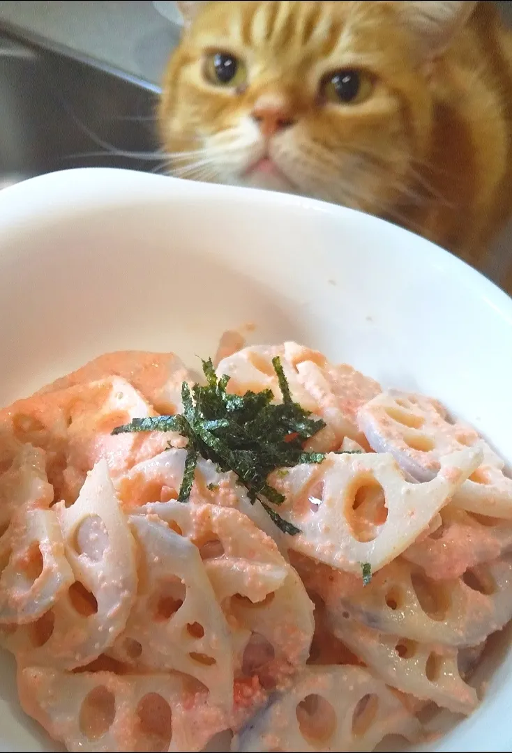 レンコンの明太子あえ。
海苔があう🧡|さくらんぼさん