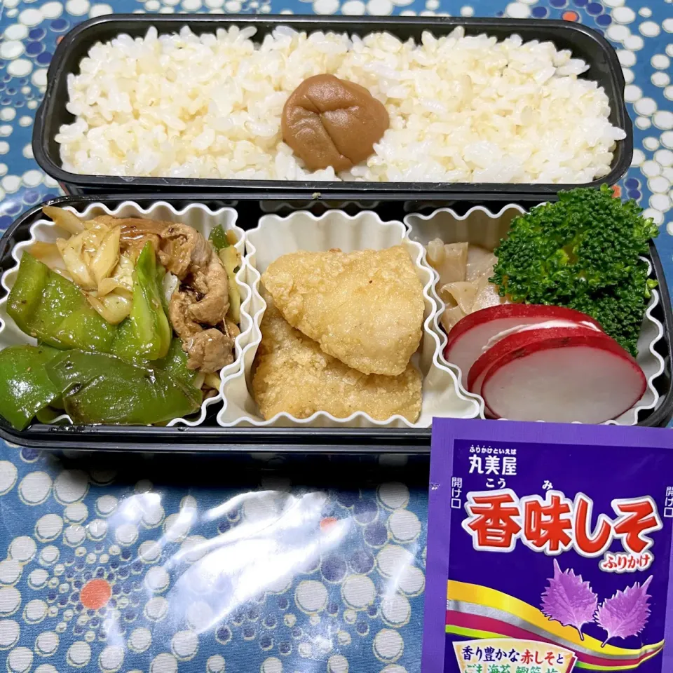 娘のお弁当11/18|iguigupopさん