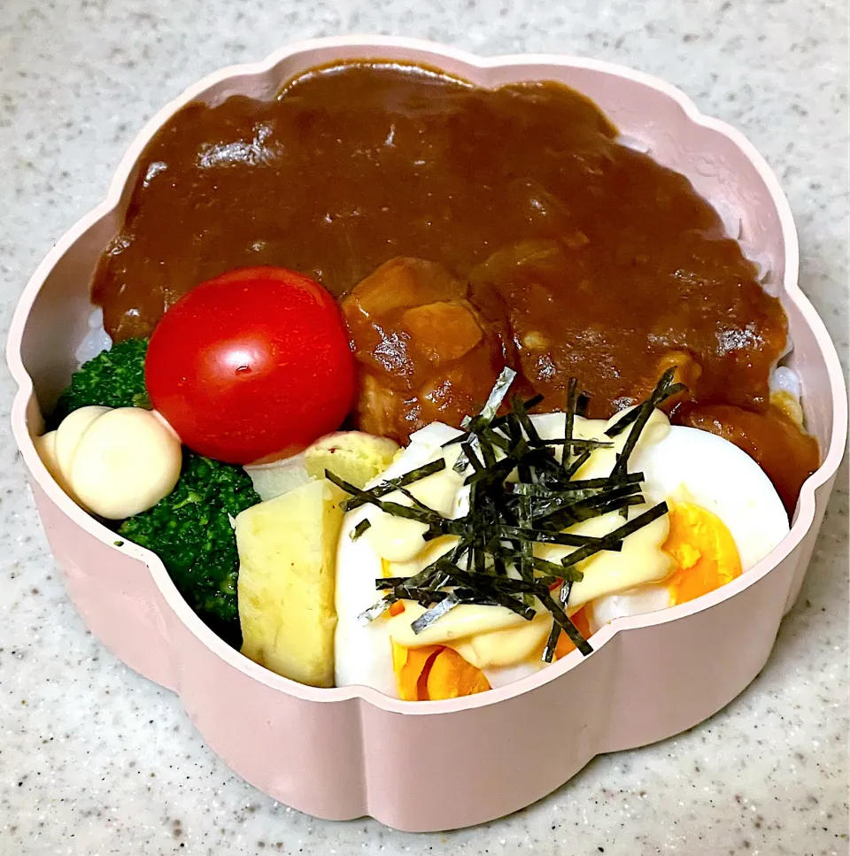 Snapdishの料理写真:ハヤシライス弁当|besさん