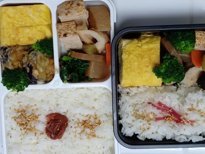 Snapdishの料理写真:だし巻き卵弁当|ぱいんてーるさん