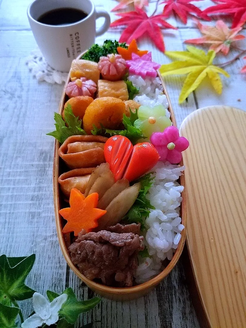 Snapdishの料理写真:牛肉とごぼうの甘辛煮弁当|sugar beansさん