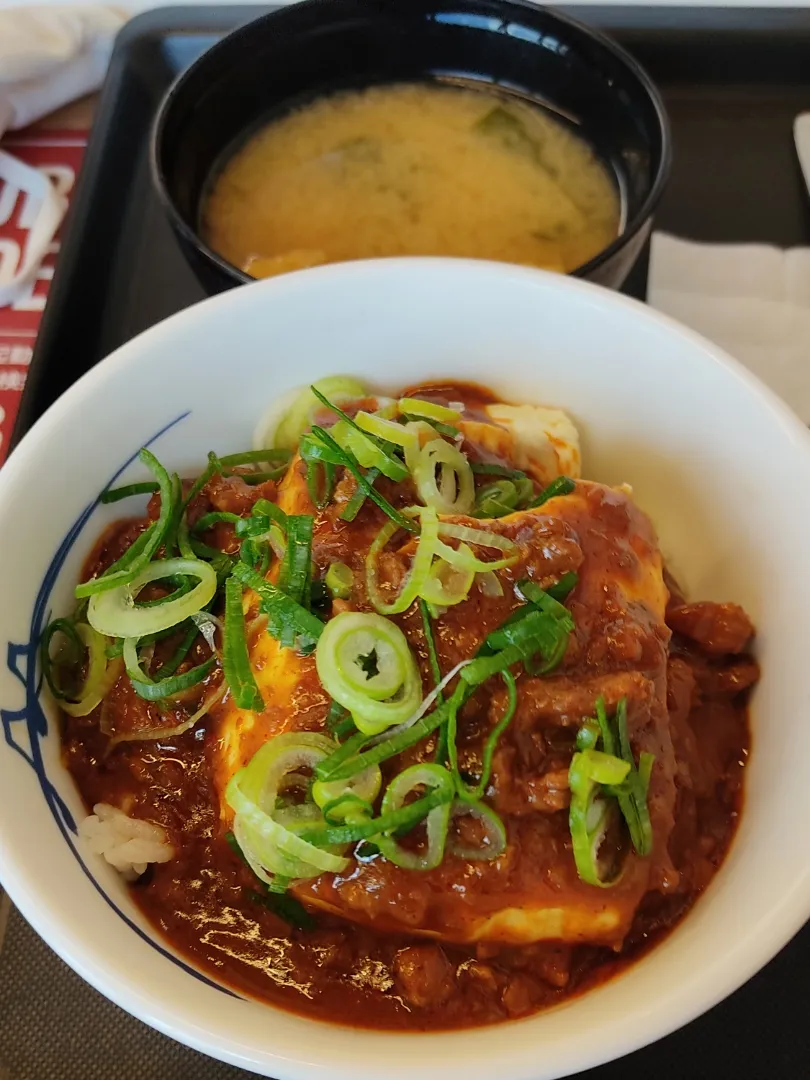 松屋の本格麻婆めし（沖縄版）

味噌汁つきで500円というのが嬉しい。
丸ごと豆腐で食べ応えもバッチリ。
沖縄以外は富士山豆腐なのだそうです。
沖縄は絹ごし豆腐。少し損した気がする。|Rピージャーさん