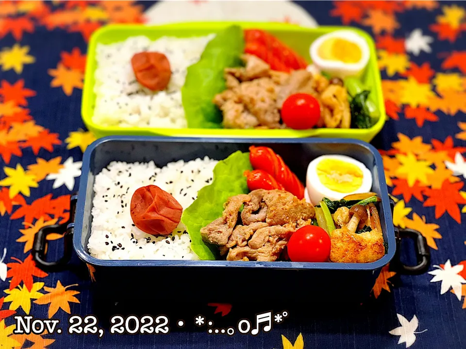 2022/11/22お弁当〜♡|いく❤️さん