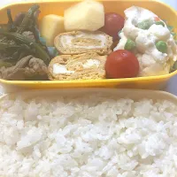 Snapdishの料理写真:豚ほうれん草弁当|料理嫌いを直したいさん