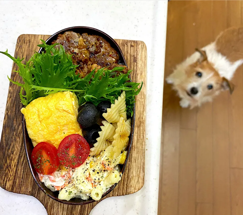 めっちゃだし巻き玉子弁当|cafe3733さん