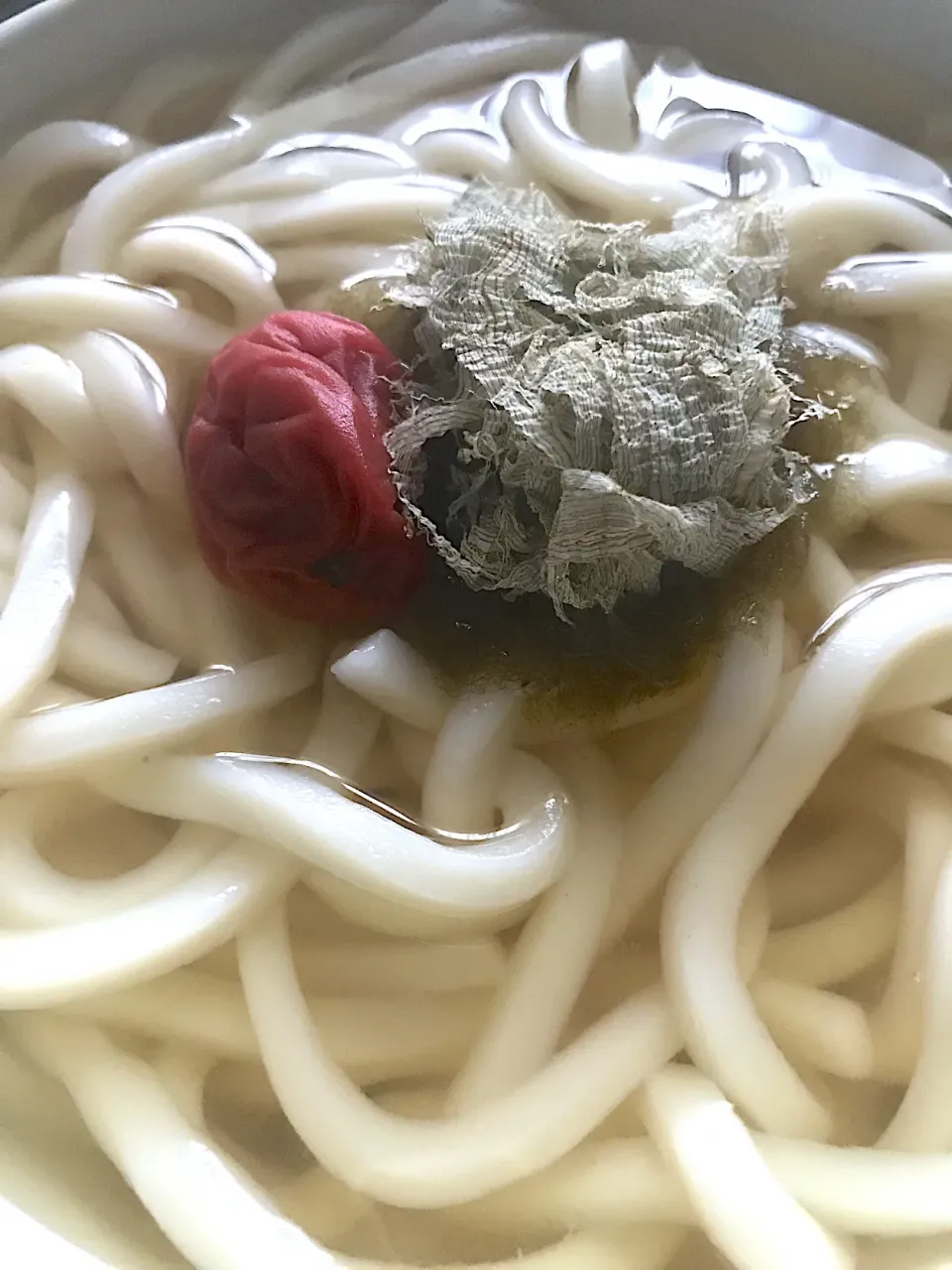 Snapdishの料理写真:俺ん家のかけうどん|ひらけごま@たかさん