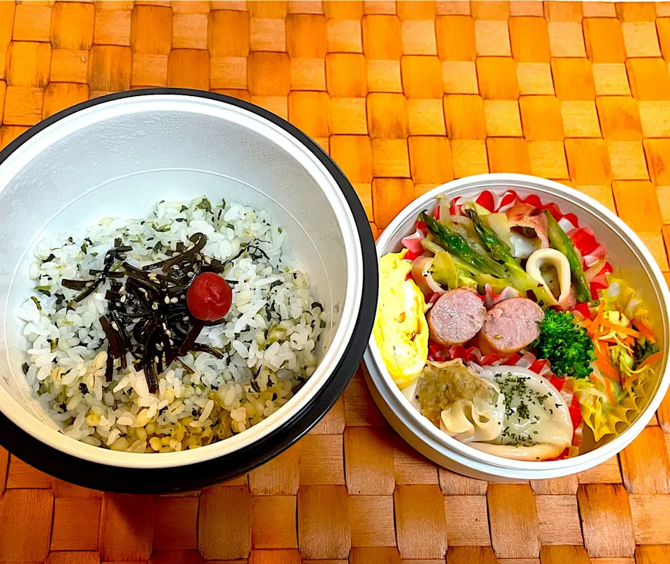 中学生息子のお弁当🍱 いかとアスパラのペペロンチーノ風炒め弁当🍱🦑|Snow10さん