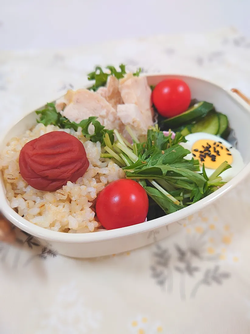 鶏胸肉の塩麹和え弁当|郁さん