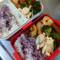 Snapdishの料理写真:今日の二人弁当|yumihahaさん