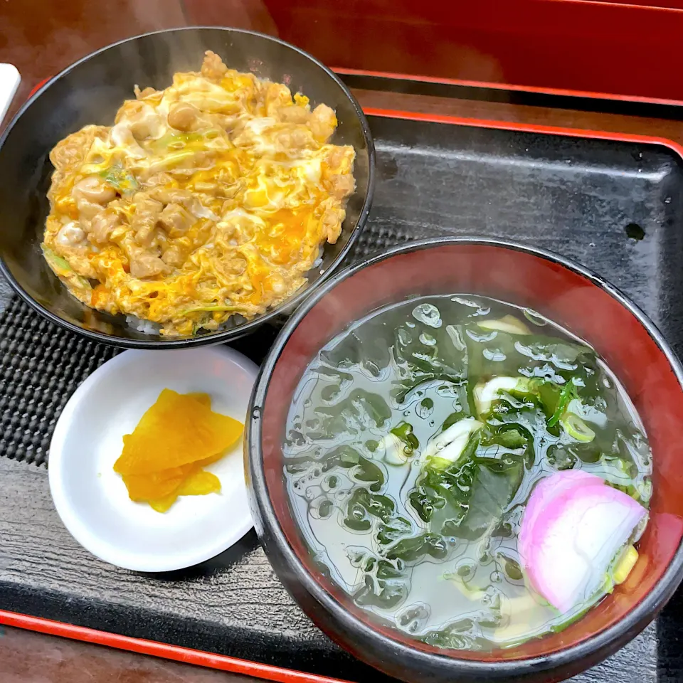 丼物セット（親子丼とわかめうどん）|T. Wonderさん