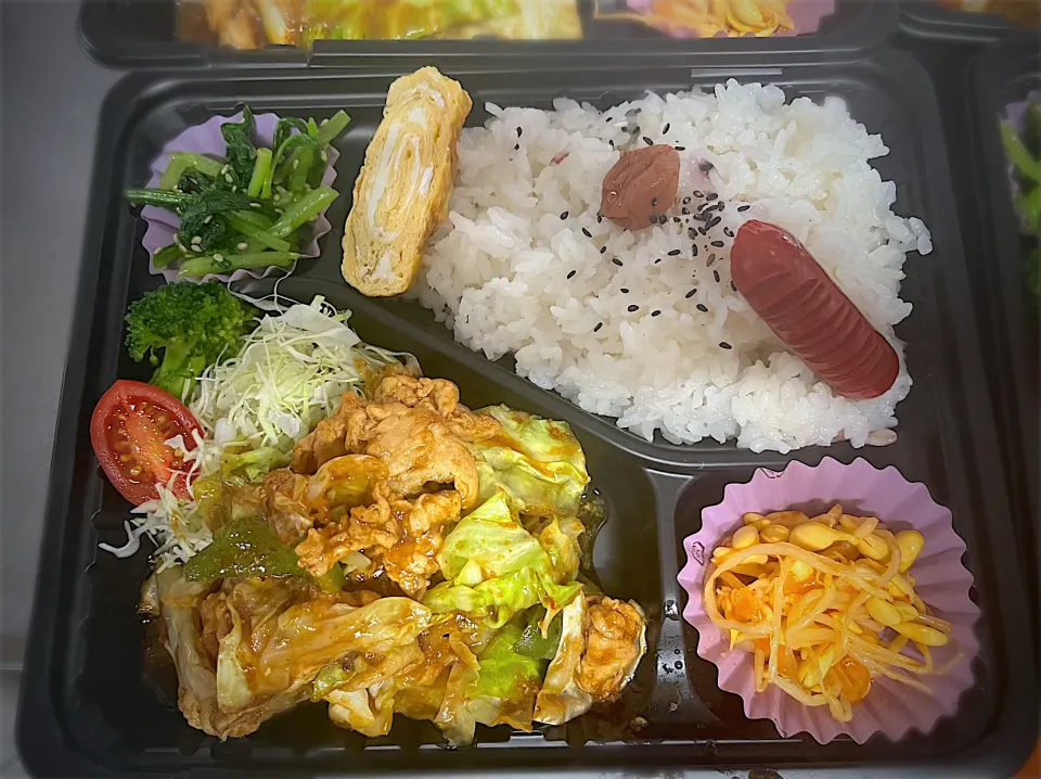 Snapdishの料理写真:回鍋肉のお弁当|Keiko.Kanzakiさん