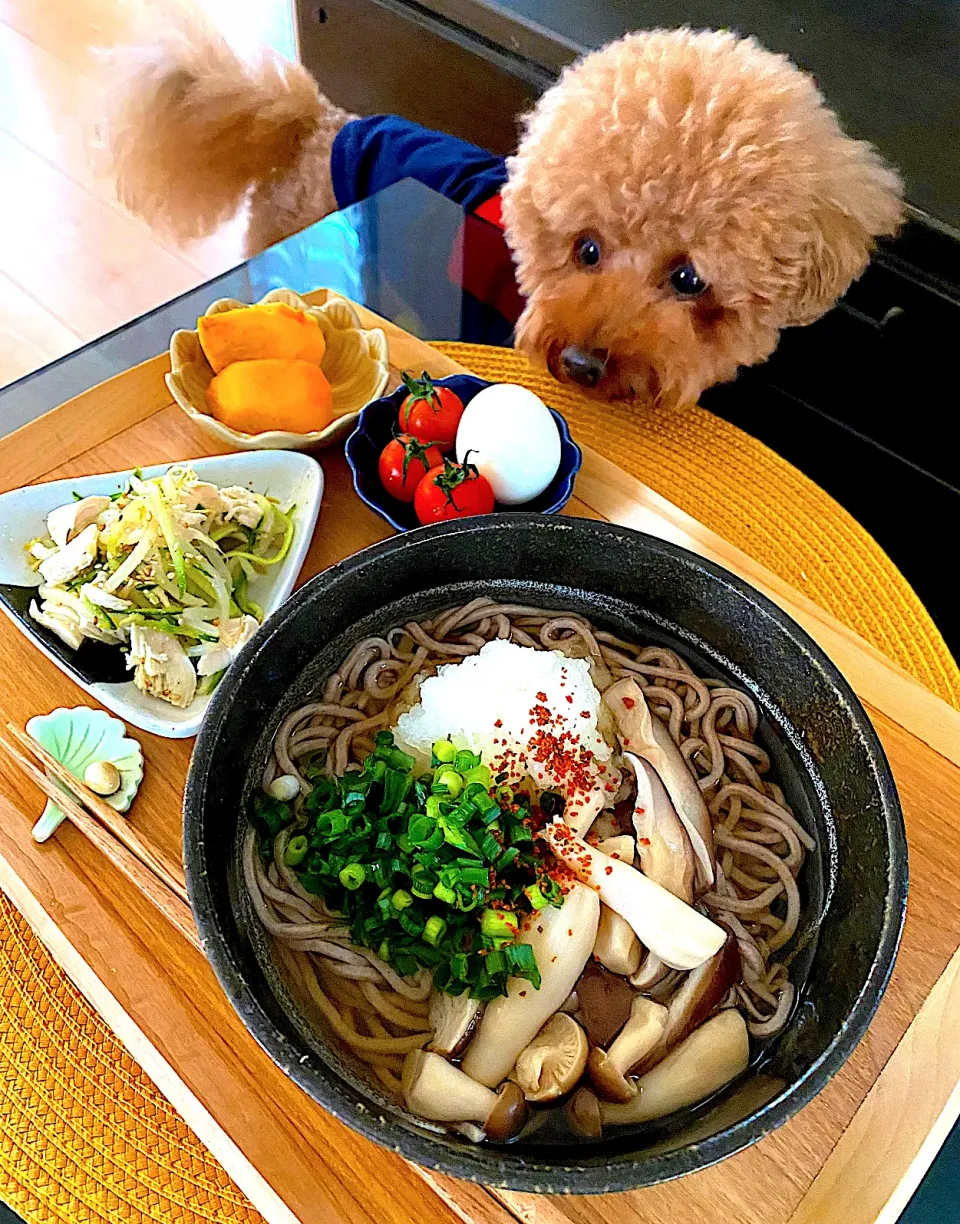 Snapdishの料理写真:ゆかりさんの料理 薬味たっぷり冷やしおろし蕎麦|ゆかりさん