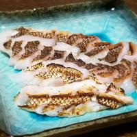パパ作👨真鯛の炙り刺身