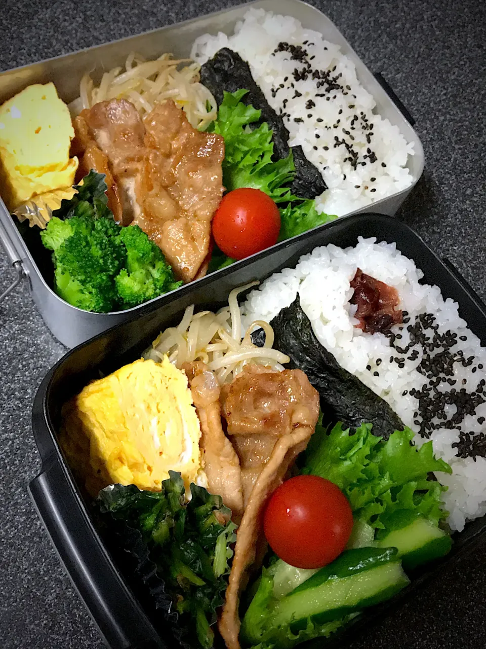 今日のお弁当♪|ミキのんさん